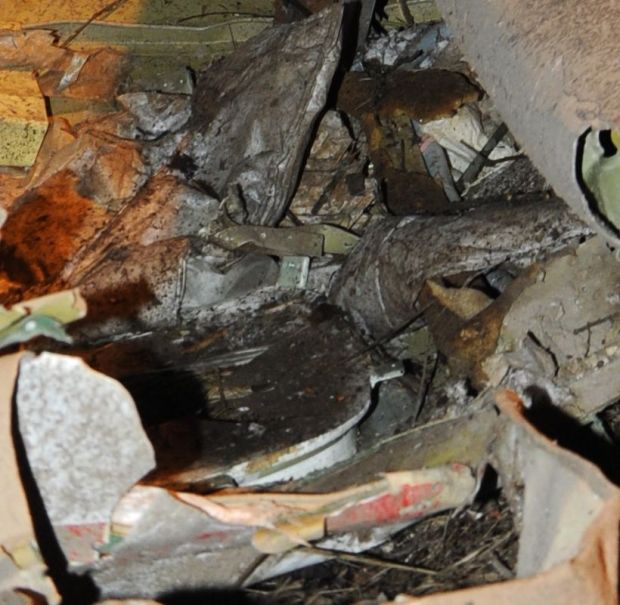 GRO_1268a_1397042482437