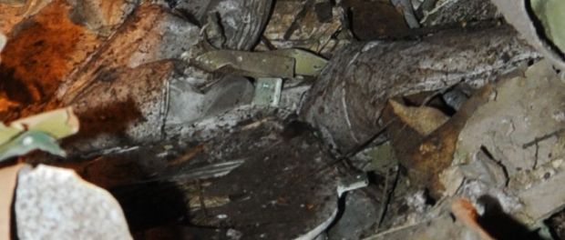 GRO_1268a_1397042482437